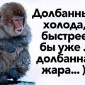 a4e0b85a24d8da967ee04a322ee283cd.jpg