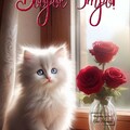 a8f64ce5ec31ddcb8ad9b010690c208a.jpg