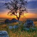 ff4fc5c2f6f8e32798b7d714c2dbd3ef.jpg