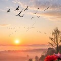 74deefa53376c84105312f9481db0bf7.jpg