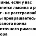 365683fc37f8eddddd06796e003b79065337e04fe179455a58c15caed8509331 1 jpg 1.jpg