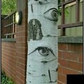 835532c1-6dd7-42eb-91b6-d02818ad7da5.jpg