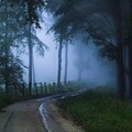 Wallpapers Mix 655 295.jpg