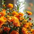 7abbd956c92f8c8902a0674876971a70.jpg