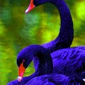 b8f56c2ae4b88b7563bbb8aa9d435dfb.jpg