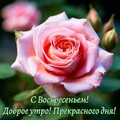 IMG-20240721-WA0023.jpg