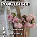 7bf7c7c5f312604ae34d6bfa010f9df6.jpg