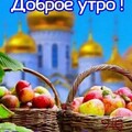 IMG-20240819-WA0010.jpg