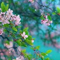 67852cb5069c30cc2f6bbe1c519b3e8e.jpg