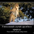cfc39 dem-0014.jpg