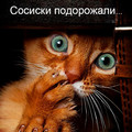 IMG 20150417 132839 0.jpg