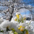14744dda32cdfae9f1f3e8863f57f4e8.jpg