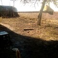 IMG 20240331 090916.jpg