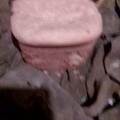 IMG-20230912-WA0026.jpg