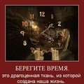IMG 20150822 040211.jpg