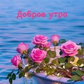 1eea69e34ccb8d5bb43d923c94891169.jpg