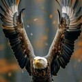 2c1e60a0fcc2cae80193e8768f403ce3.jpg