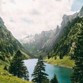 3d91677b0d2a5c1e0aa812c2c41fc180.jpg