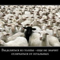 Odna na tysyachu.jpg