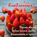 6ad720c6a021ecf4a4a71c6e91130649.jpg