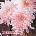 83be2d5f-f88a-4a5b-b8c9-76aa5d9520fe.jpg
