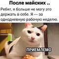 6c49e61b65b987d5f4bf846581b88c9ed5e50e53c097ca6375578a6e0bbf71e0 1 jpg 1.jpg