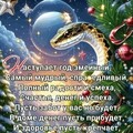 4b1392ac-5571-437c-ac78-a83c6463bcd0.jpg