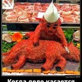 97f03b0c-415d-4cc5-bb10-ff0d4aedbbb9.jpg