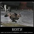 20180415 175317.jpg