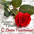 7f OBuy7TMk.jpg