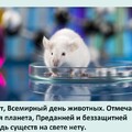Всемирный День Животных.jpg