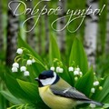 ВТОРНИК 20 МАЯ.jpg