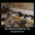 Bezvyhodnostq obxedenyae.jpg