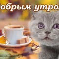 0 700.jpg
