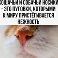 c08f2b10dcf40137d647fe332262cb1329c7e79b9aa5590c30dc01d7b2751800 1 jpg 1.jpg