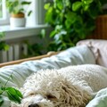 33eec60377f13d5c971f3377cadf4eeb.jpg