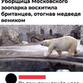 f5f688bd6a98e5b34e3abd534e1d45c417c0b11a6e1b18906048e8c0b0e98ee0 1 jpg 1.jpg
