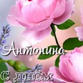 ac1915d897e0c1b3b752e899d36a5452.jpg