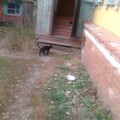IMG 20231011 151918.jpg