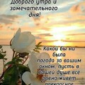 IMG-20231110-WA0101.jpg
