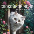 da1cb1e5e2bcbe42bc46f41f159203ff.jpg
