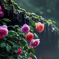 ab0e44ddf447c0504c77cb0ddcc8f010.jpg