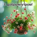 С Добрым Утром.jpg