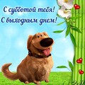 Суббота с выходным днём !.jpg