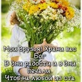 20a76699-2957-4bb0-9f29-bd876b981d88.jpg
