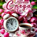 СРЕДА.jpg