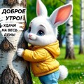 IMG-20250514-WA0002.jpg
