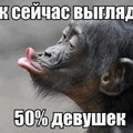 Ну почти так.jpg
