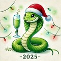 919897c5-19b8-4a05-bd8e-4c559ad37ba2.jpg