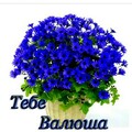 Тебе Валюша.jpg